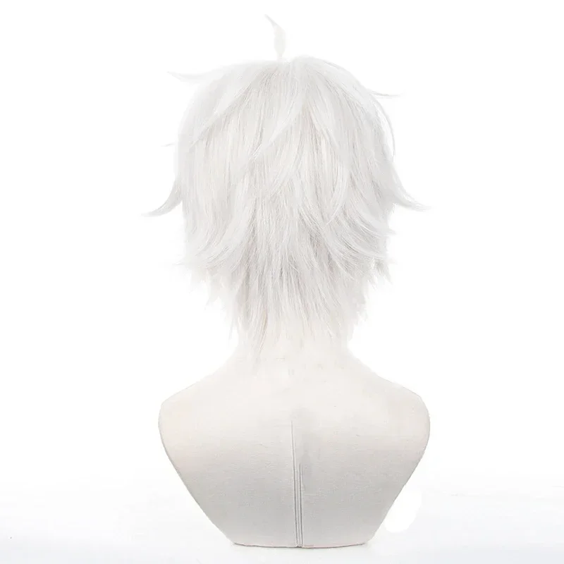 Anime Seishiro Nagi Cosplay Wi - Cosplay Anime White Hair incelemesi ve fiyatı